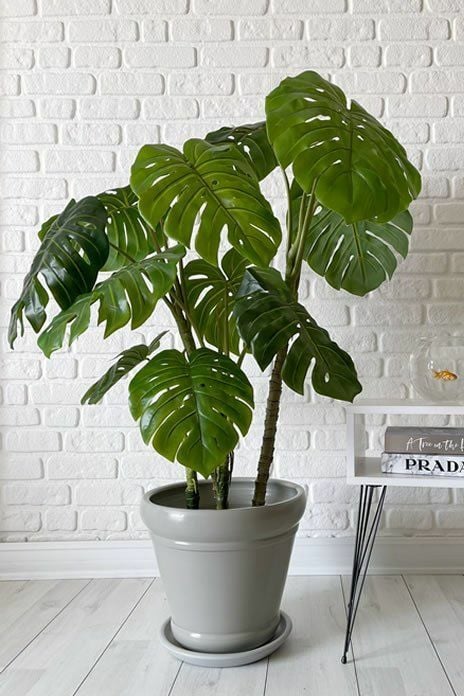 İtalyan Saksı-Granit