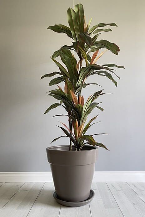 Kalın Dudaklı Konik Saksı Tabaklı Yükseklik:30cm Çap:32cm Vizon