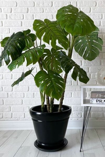 İtalyan Saksı-Siyah