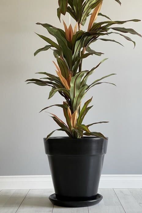 Kalın Dudaklı Konik Saksı Tabaklı Yükseklik:30cm Çap:32cm Siyah