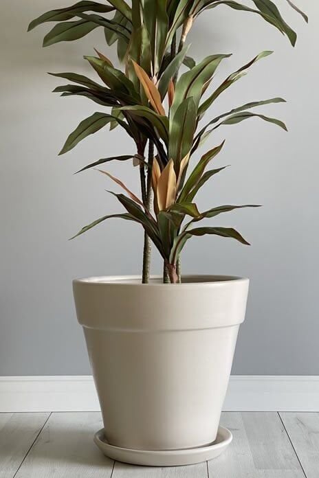 Kalın Dudaklı Konik Saksı Tabaklı Yükseklik:30cm Çap:32cm Ekru