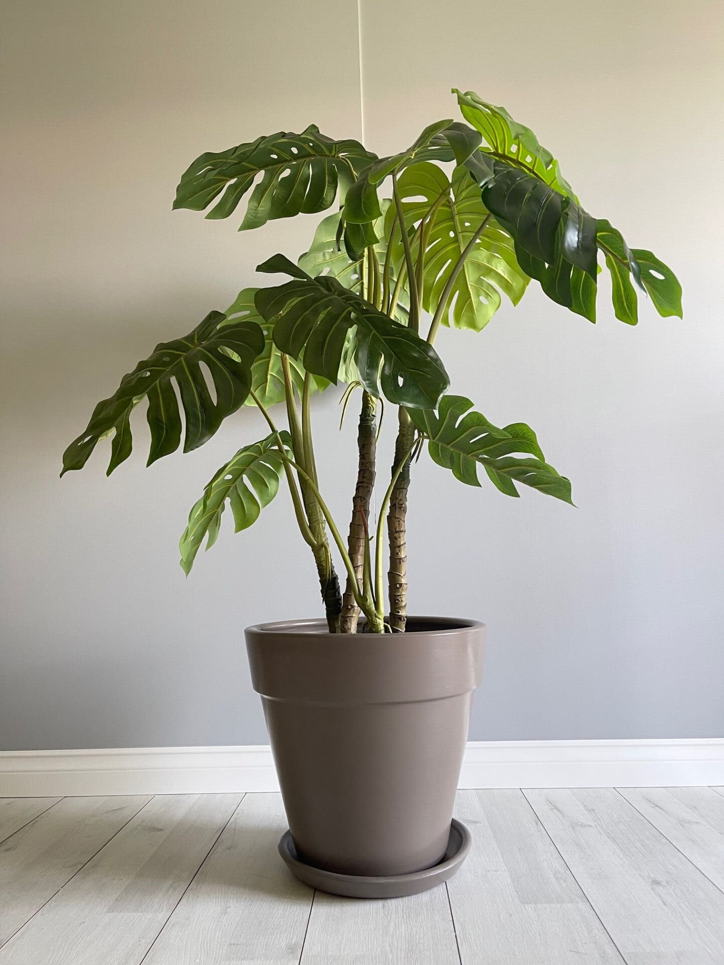 Kalın Dudaklı Konik Saksı Tabaklı Yükseklik:38cm Çap:40cm Vizon