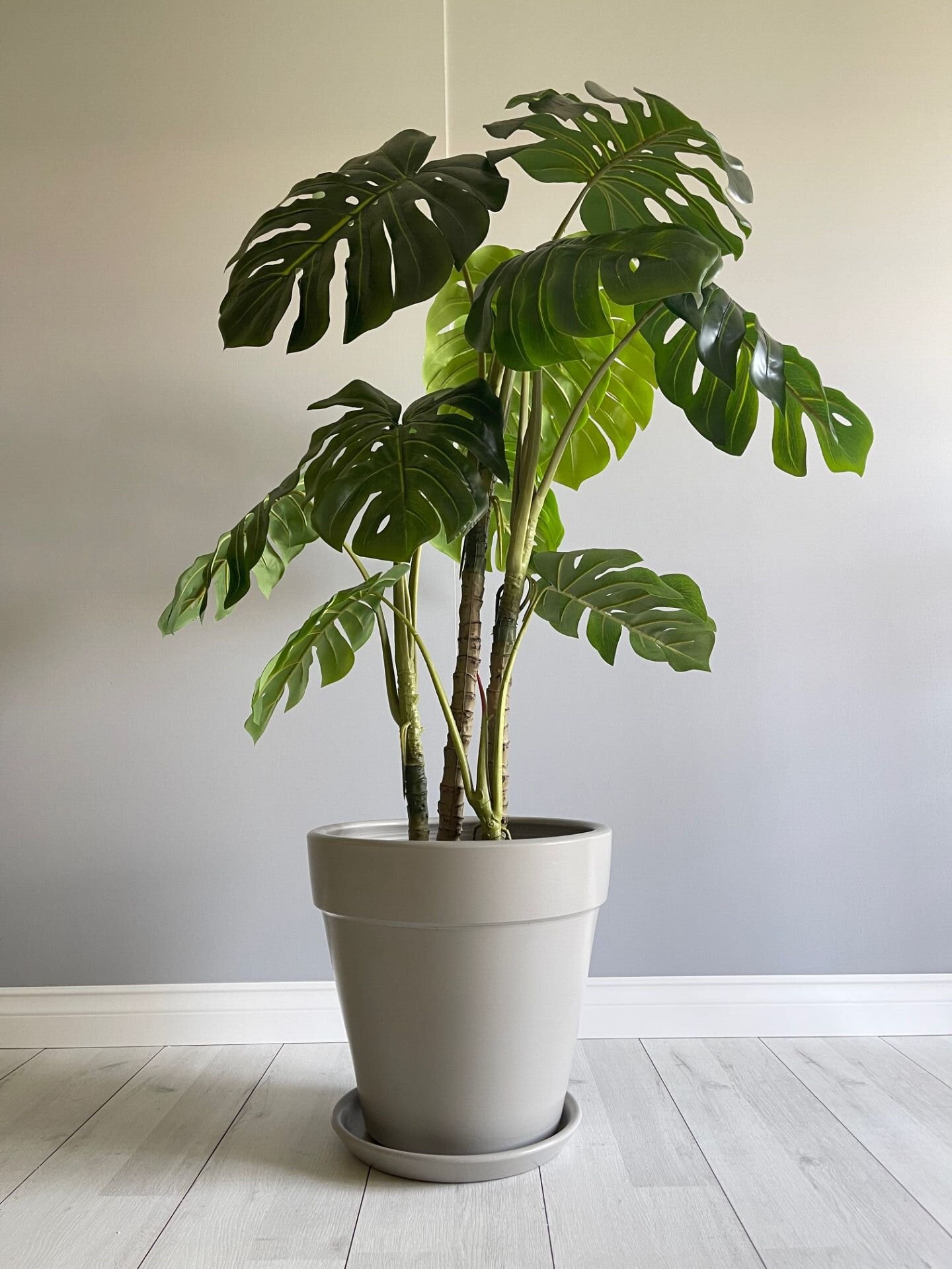 Kalın Dudaklı Konik Saksı Tabaklı Yükseklik:38cm Çap:40cm Granit