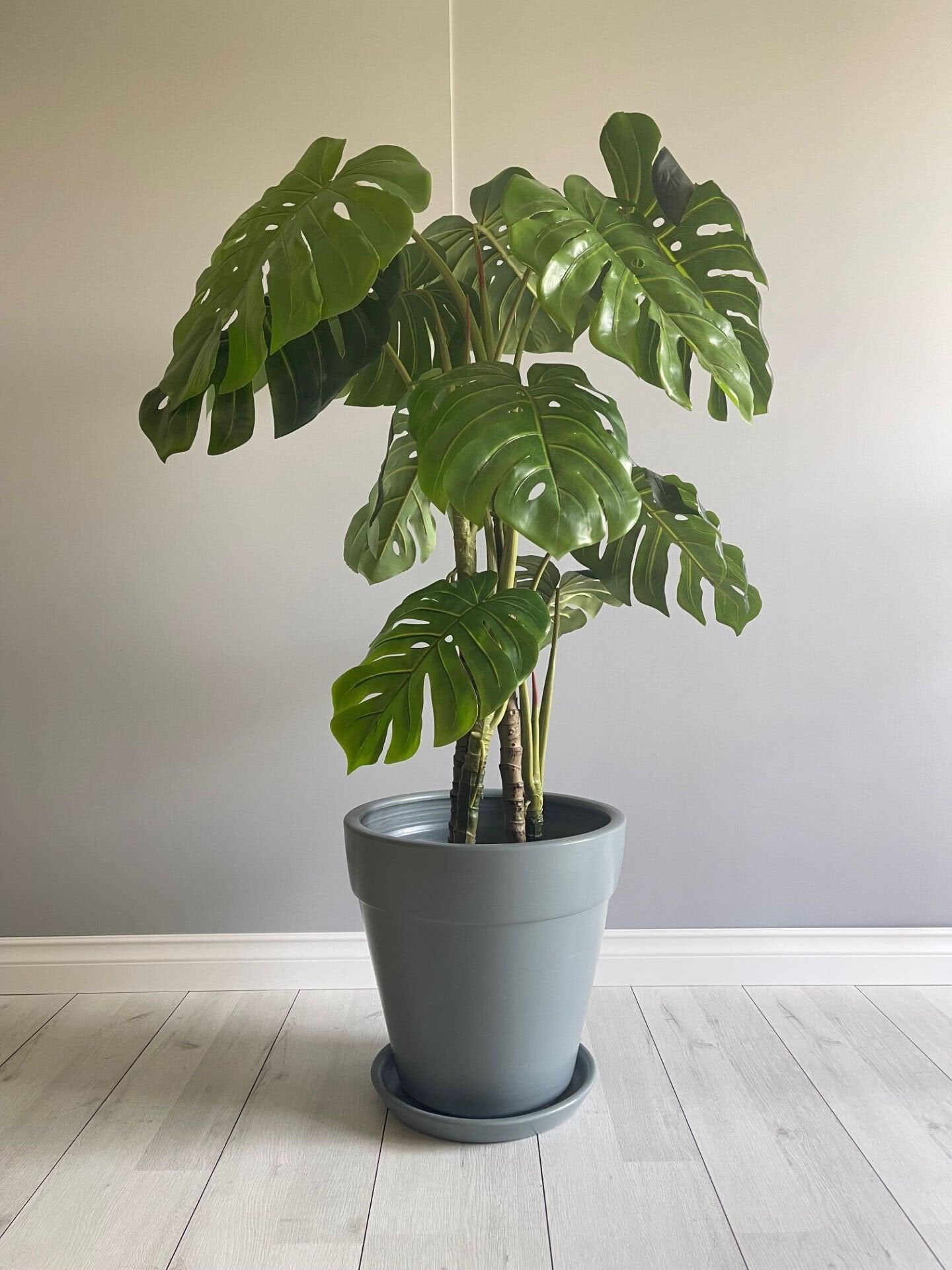 Kalın Dudaklı Konik Saksı Tabaklı Yükseklik:38cm Çap:40cm Füme