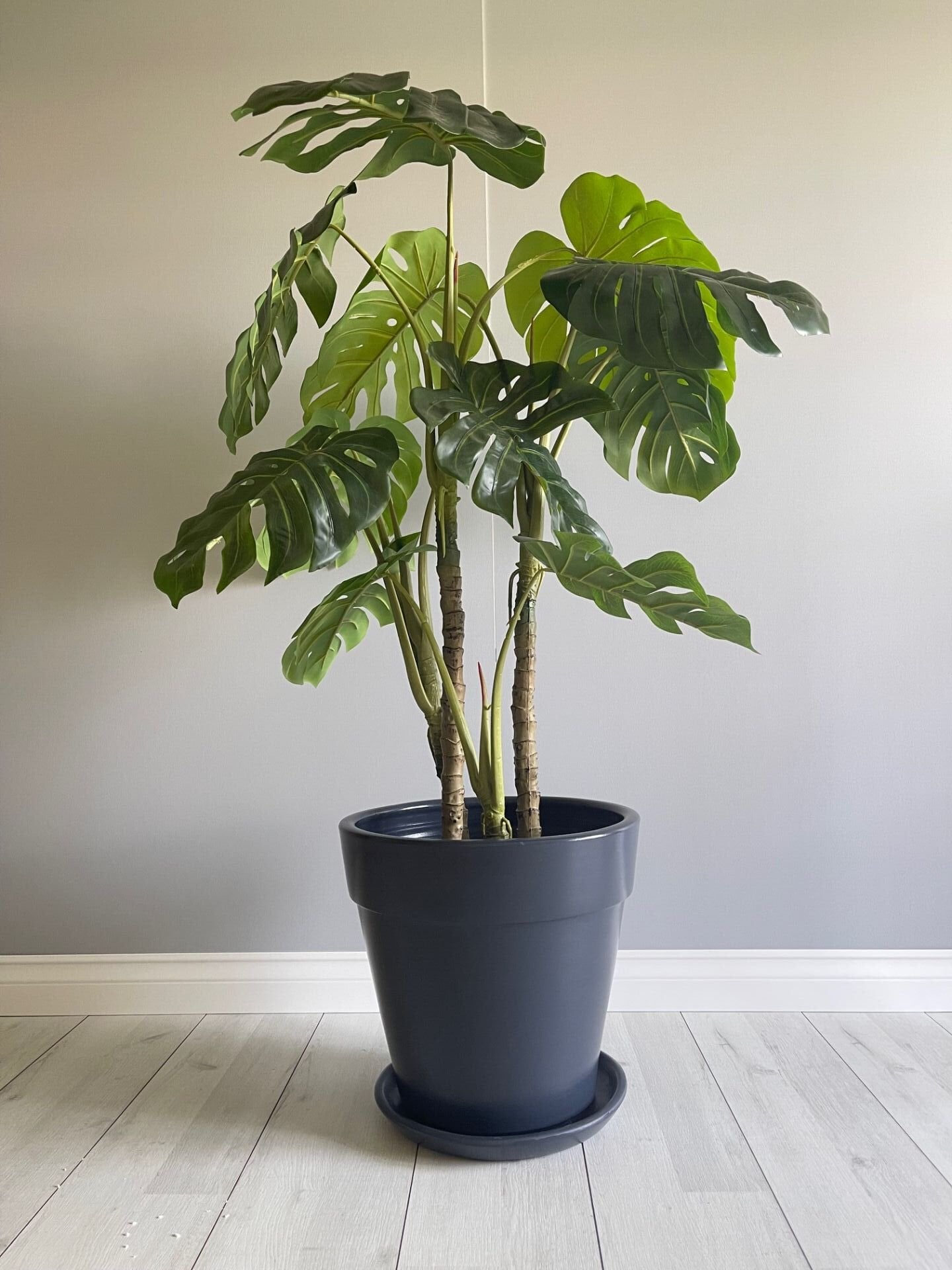 Kalın Dudaklı Konik Saksı Tabaklı Yükseklik:38cm Çap:40cm Antrasit