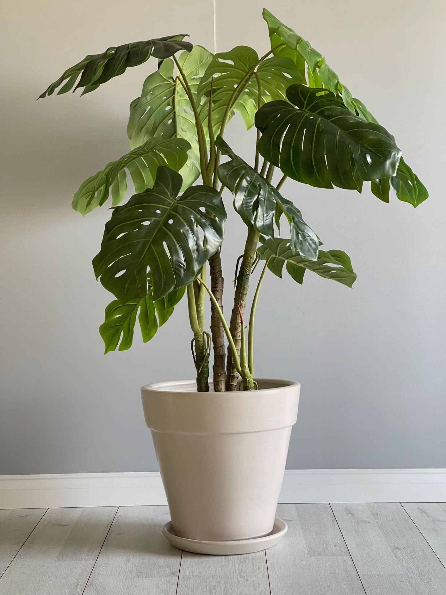 Kalın Dudaklı Konik Saksı Tabaklı Yükseklik:38cm Çap:40cm Ekru