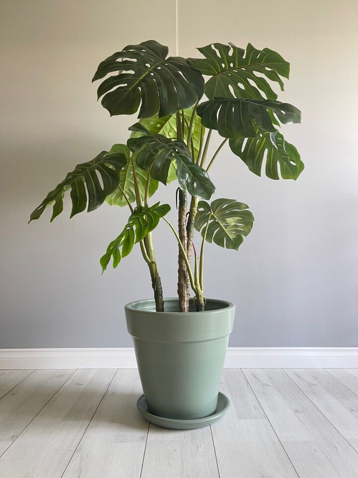 Kalın Dudaklı Konik Saksı Tabaklı Yükseklik:38cm Çap:40cm Mint Yeşili