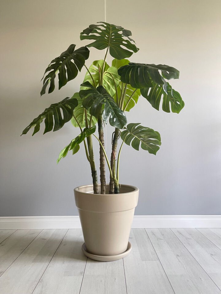 Kalın Dudaklı Konik Saksı Tabaklı Yükseklik:38cm Çap:40cm Taş