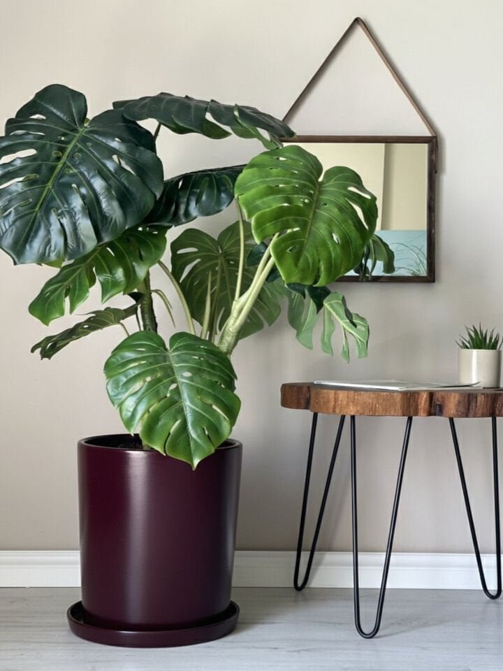 Silindir Saksı Tabaklı -Bordo