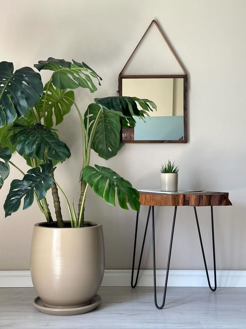 Armut Saksı Tabaklı Yükseklik:32cm Çap:26cm Bej