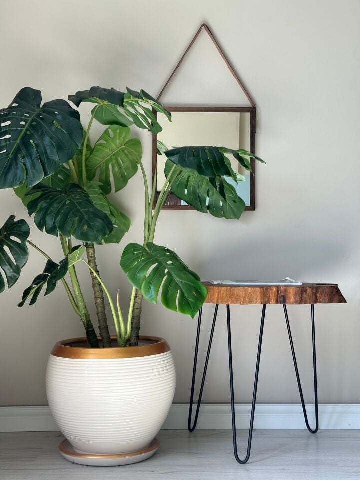 Küre Saksı Tabaklı-Çizgili Ekru Gold