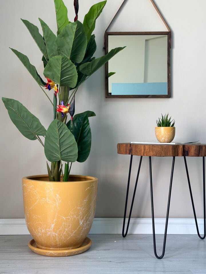 Mia Seri Klasik Saksı Tabaklı Yükseklik 38cm Çap 40cm