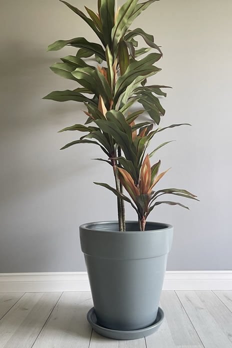 Kalın Dudaklı Konik Saksı Tabaklı Yükseklik:30cm Çap:32cm