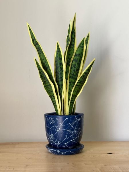 Klasik Saksı Tabaklı Yükseklik: 17cmX Çap: 19cm Mia Seri