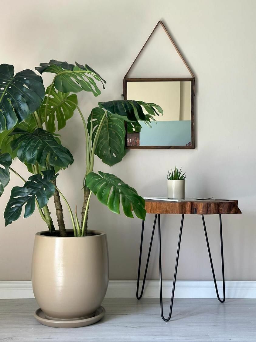 Armut Saksı Tabaklı Yükseklik:50cm Çap:35cm Bej