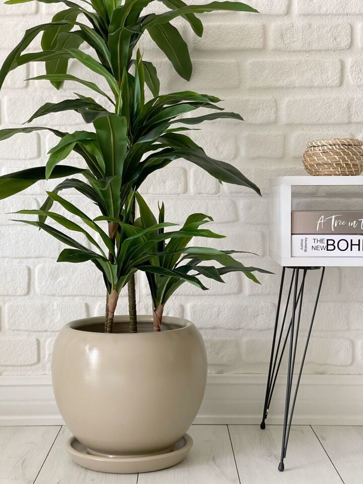 Küre Saksı Tabaklı Yükseklik 43cm Çap 47cm