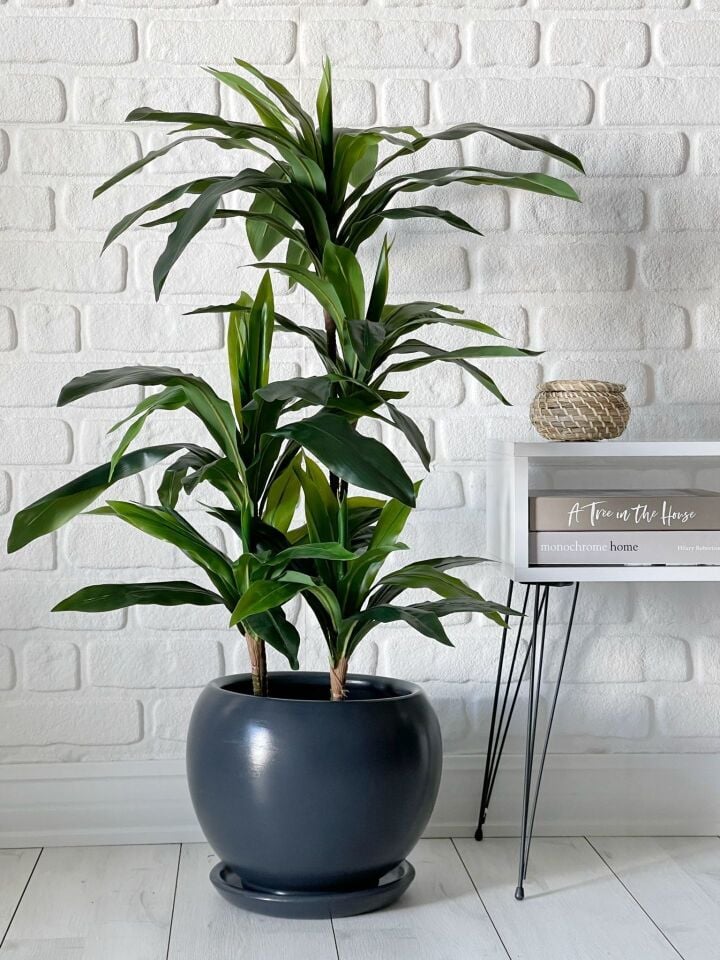 Küre Saksı Tabaklı Yükseklik 43cm Çap 47cm