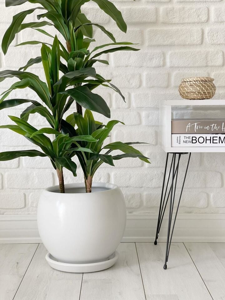 Küre Saksı Tabaklı Yükseklik 43cm Çap 47cm