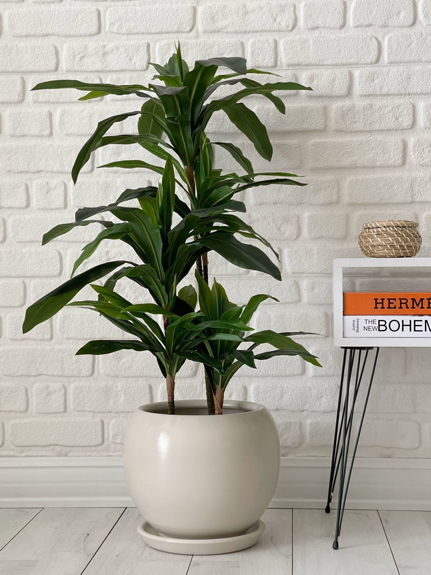 Küre Saksı Tabaklı Yükseklik 43cm Çap 47cm