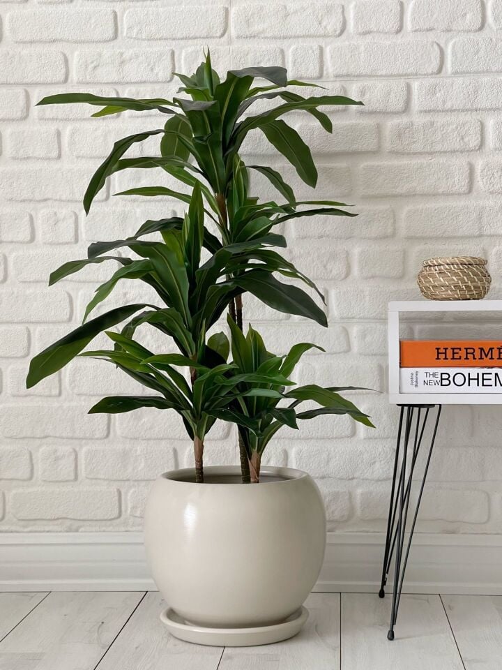 Küre Saksı Tabaklı Yükseklik 43cm Çap 47cm