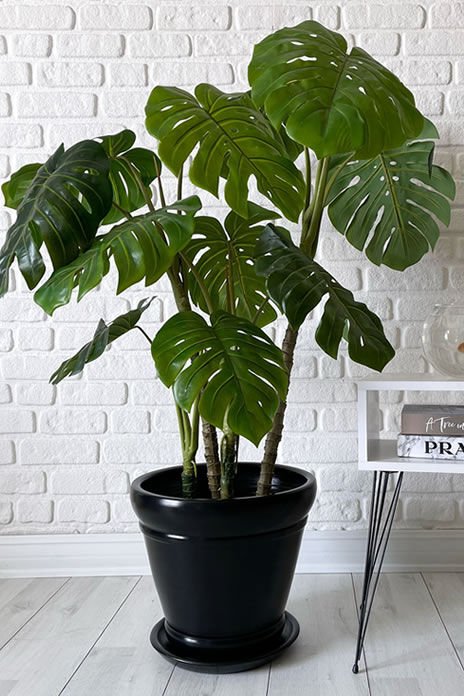 İtalyan Saksı Tabaklı Yükseklik:30cm Çap:32cm Siyah