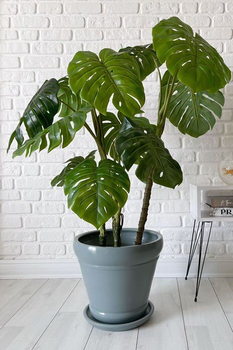 İtalyan Saksı Tabaklı Yükseklik:30cm Çap:32cm Füme