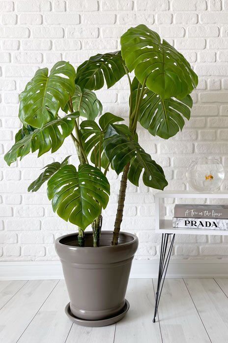 İtalyan Saksı Tabaklı Yükseklik:30cm Çap:32cm Vizon