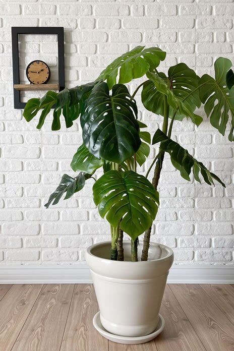 İtalyan Saksı Tabaklı Yükseklik:30cm Çap:32cm Ekru