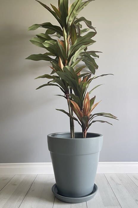 Kalın Dudaklı Konik Saksı Tabaklı Yükseklik:30cm Çap:32cm