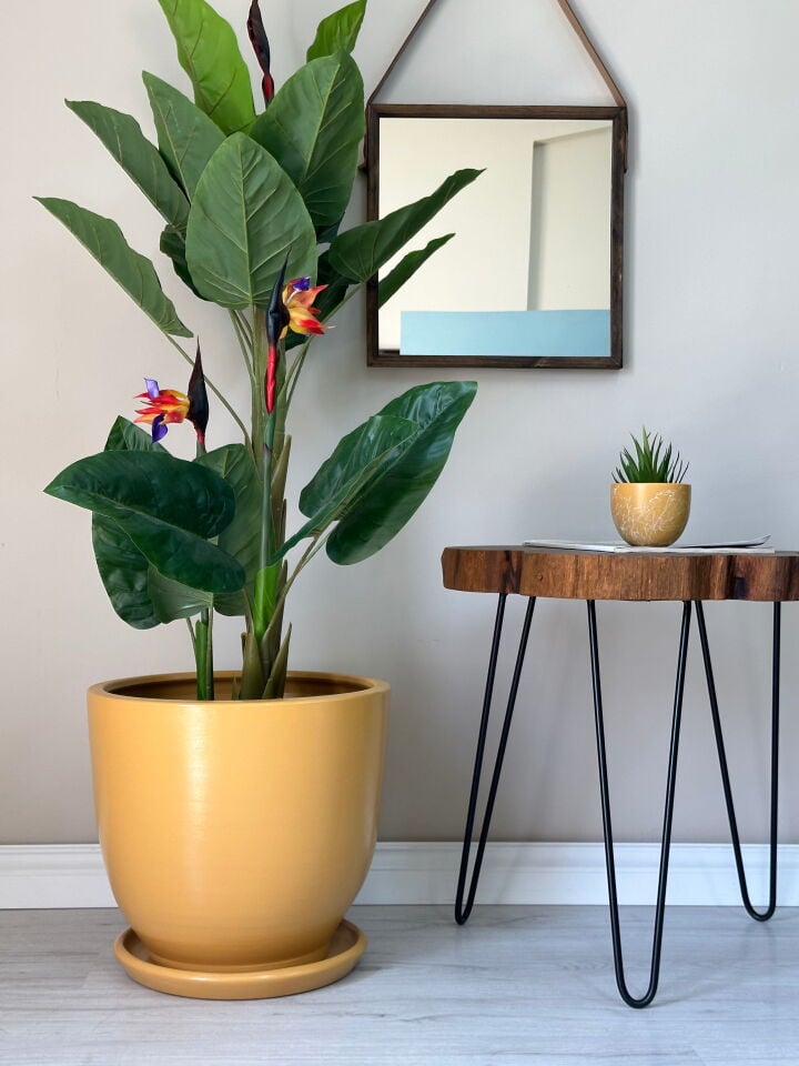 Klasik Saksı Tabaklı-Sarı