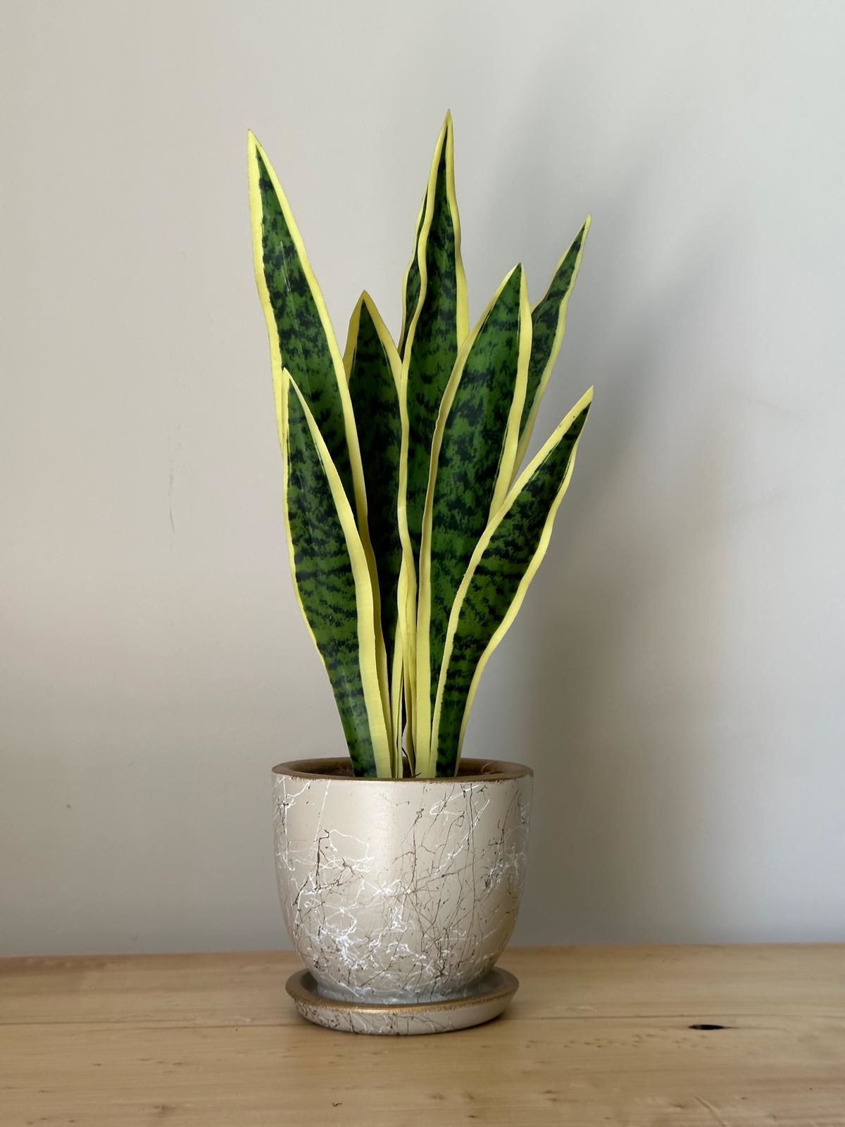 5 Litre Klasik Saksı Tabaklı Yükseklik: 17cmX Çap: 19cm Lily Seri