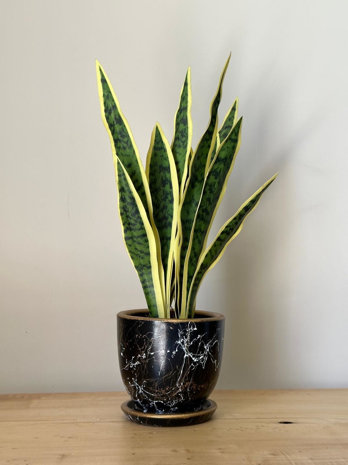 8 Litre Klasik Saksı Tabaklı Yükseklik: 17cmX Çap: 19cm Lily Seri Siyah-Beyaz-Gold