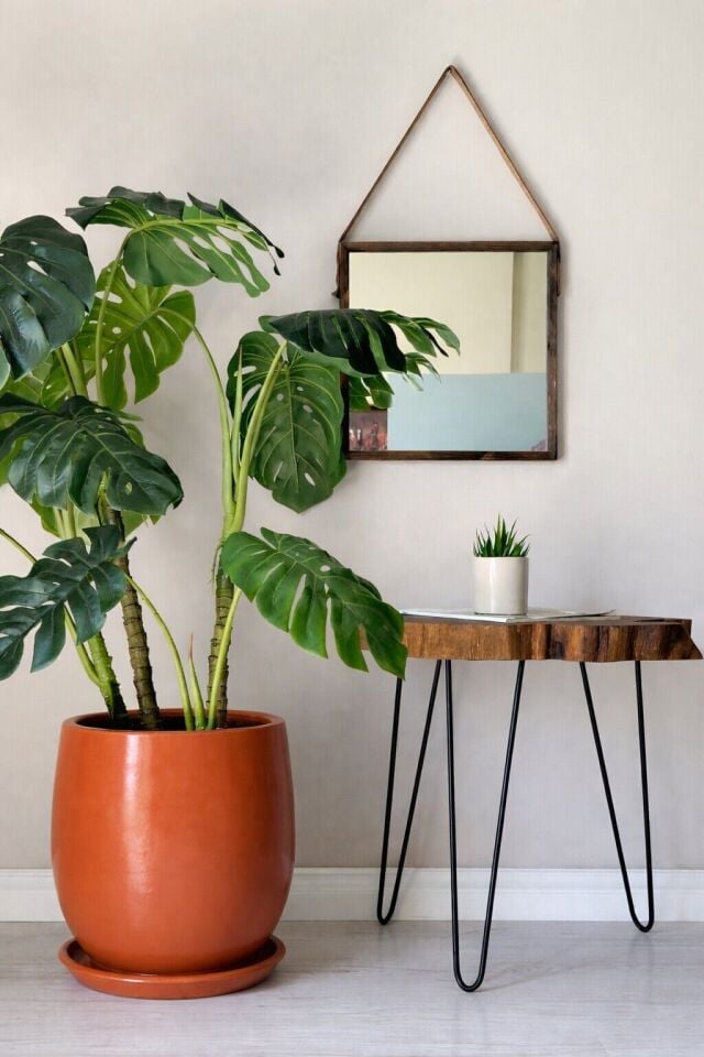 Armut Saksı Tabaklı Yükseklik:28cm Çap:28cm Kiremit (Naturel)