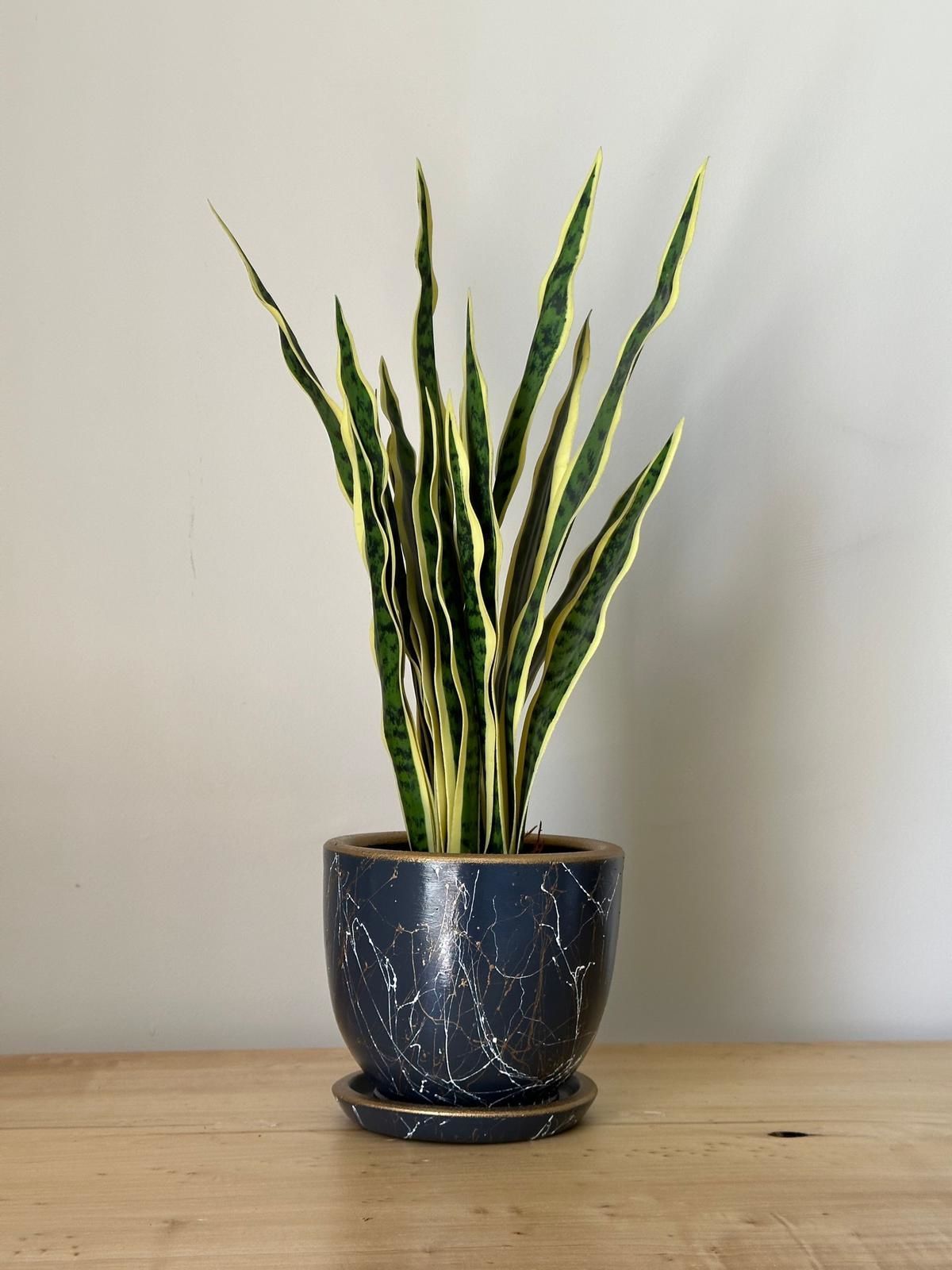 3 Litre Klasik Saksı Tabaklı Yükseklik: 15cmX Çap: 15cm Lily Seri