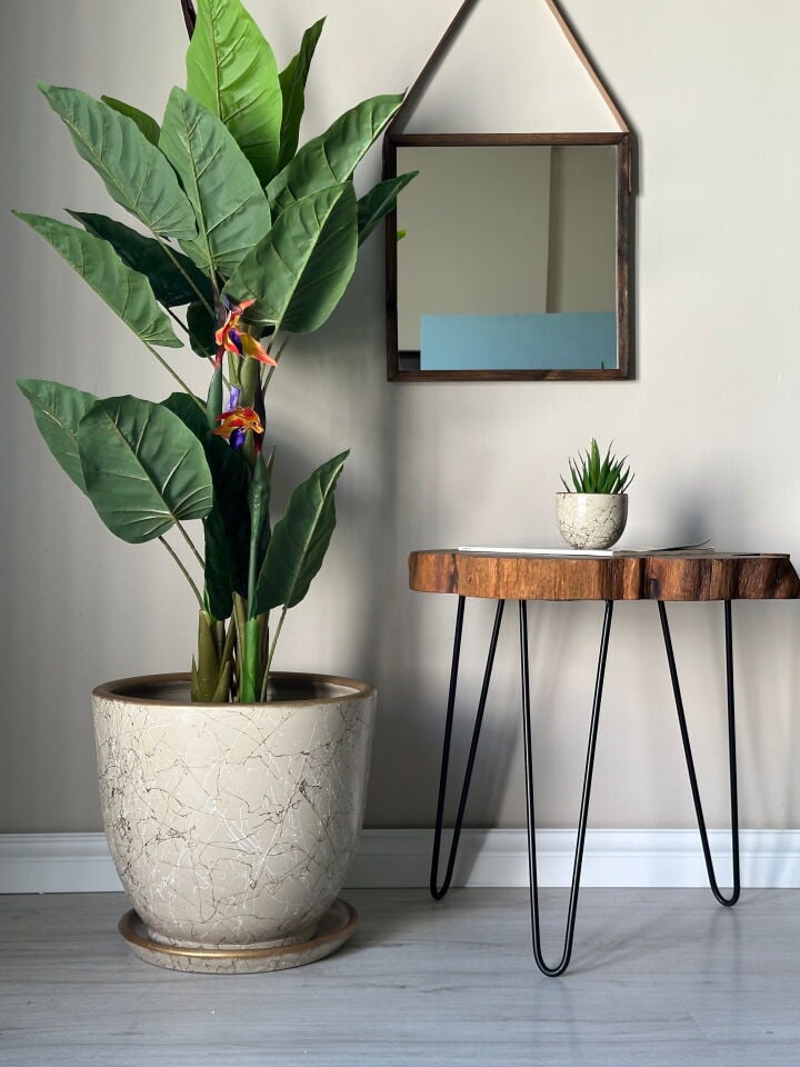 Klasik Saksı Tabaklı Lily Seri- Taş Beyaz Gold