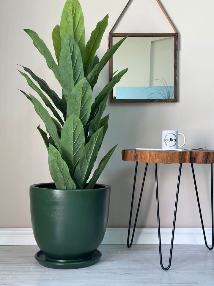 Klasik Saksı Tabaklı-Koyu Yeşil