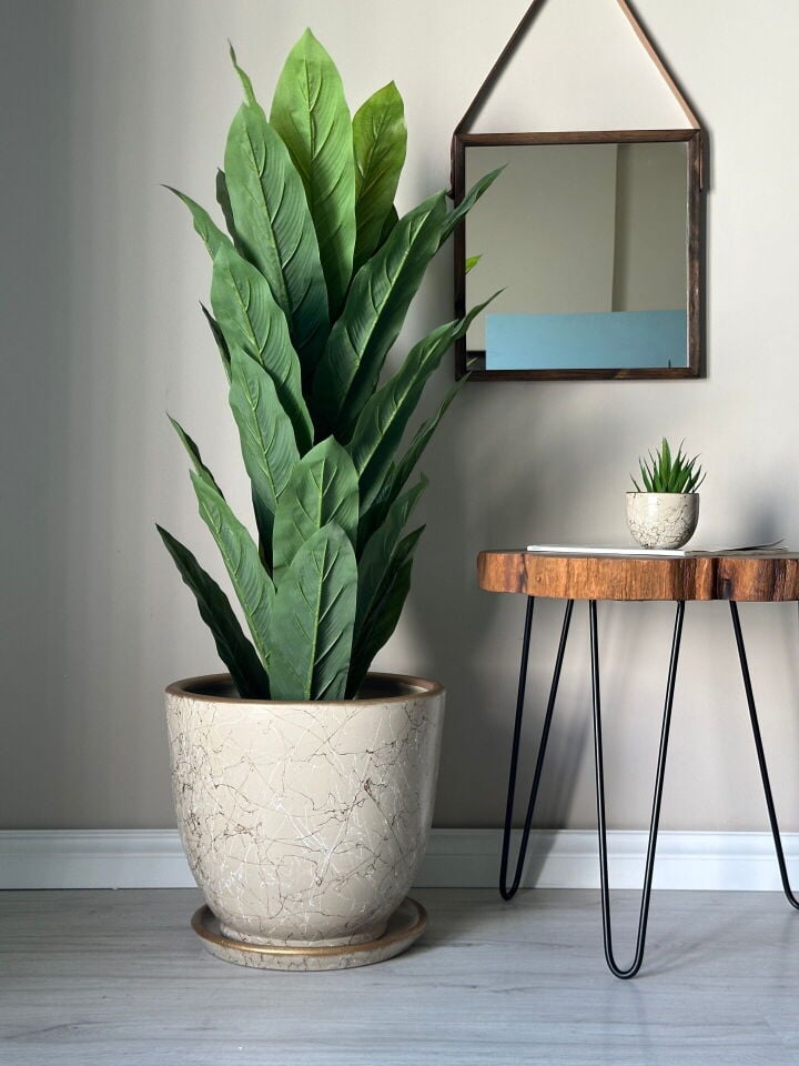 Lily Klasik Saksı Tabaklı Yükseklik 30cm Çap 32cm