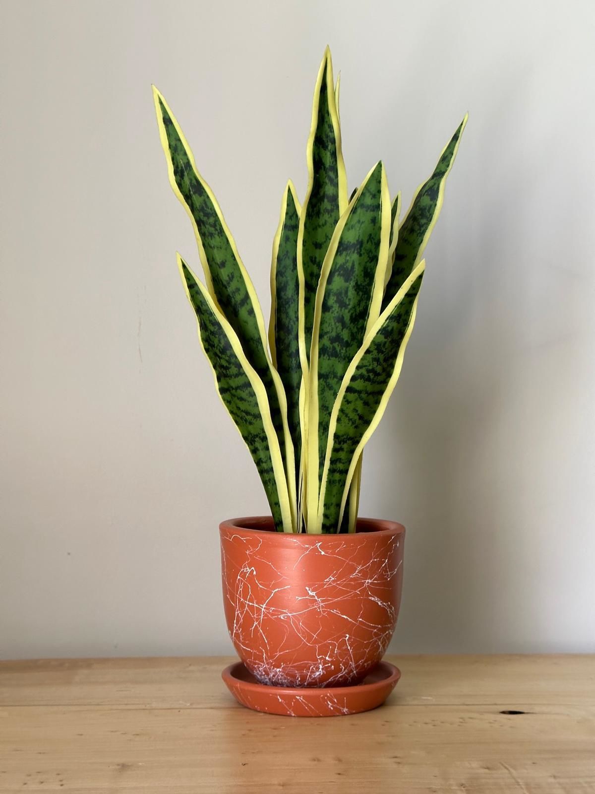 5 Litre Klasik Saksı Tabaklı Yükseklik: 15cmX Çap: 15cm Mia Seri