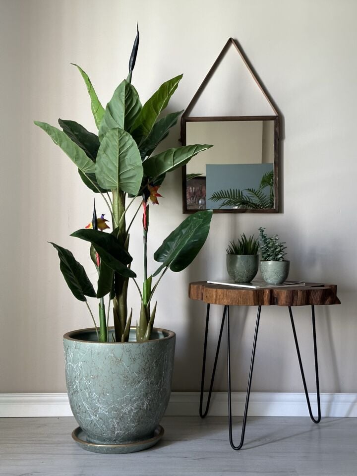 Klasik Saksı Tabaklı Lily Seri- Mint Yeşili Beyaz Gold