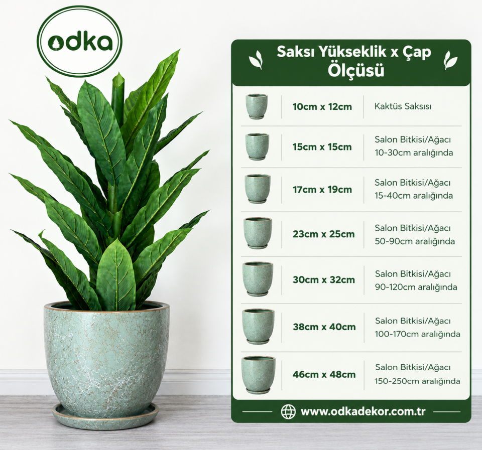 Odka Lily Klasik Tabaklı Mint Yeşili Beyaz Gold Saksı