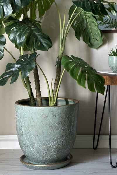 Klasik Saksı Lily- Mint Yeşili Beyaz Gold