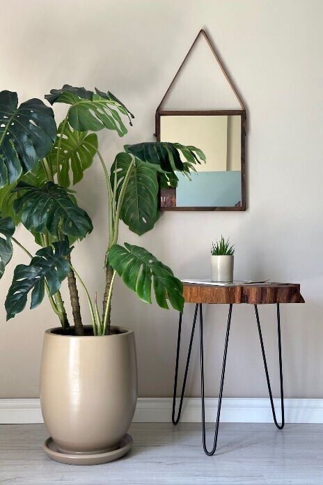 Armut Saksı Tabaklı Yükseklik:28cm Çap:28cm