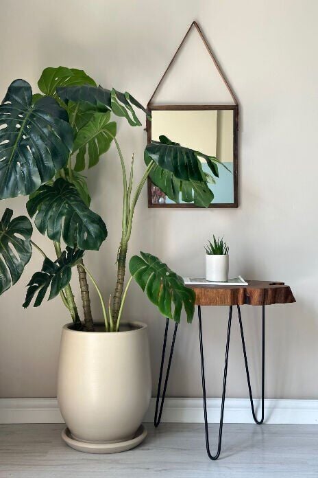 Armut Saksı Tabaklı Yükseklik:28cm Çap:28cm