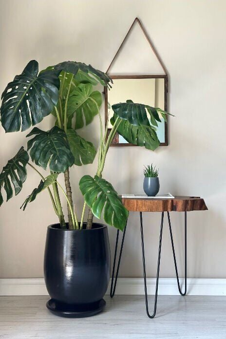 Armut Saksı Tabaklı Yükseklik:28cm Çap:28cm