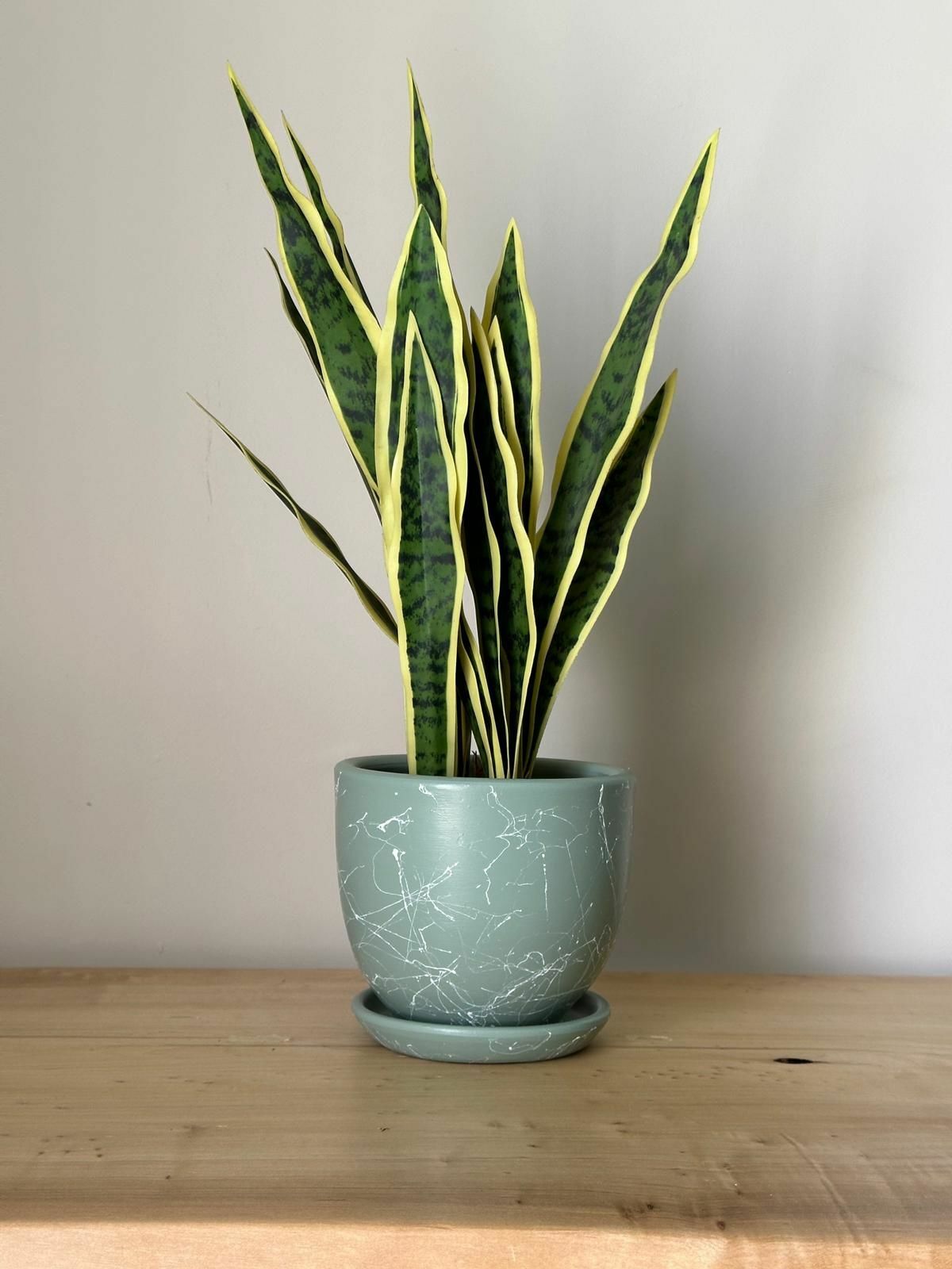 5 Litre Klasik Saksı Tabaklı Yükseklik: 15cmX Çap: 15cm Mia Seri Mint Yeşili Mermer Desenli